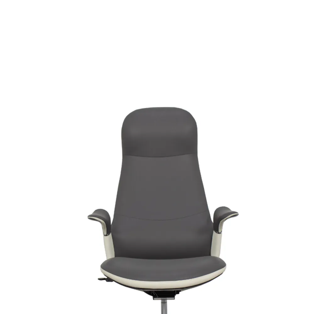 High-Back Swivel And Height Adjustable Office Chair H09-Qxp Grey